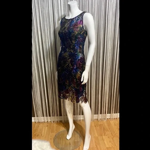 Multicolor Lace Dress - Picture 5 of 12